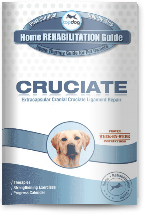 Cruciate Surgery Recovery Guide