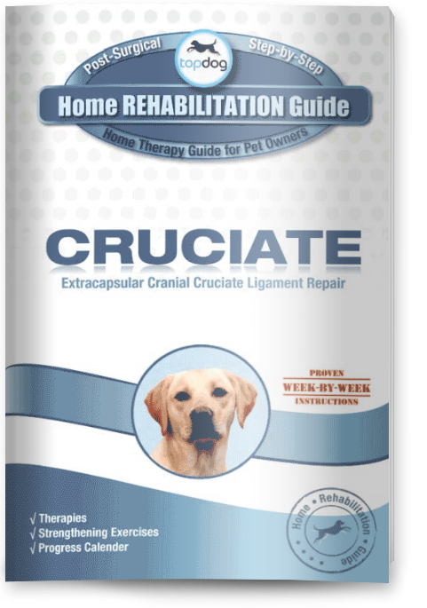 Cruciate