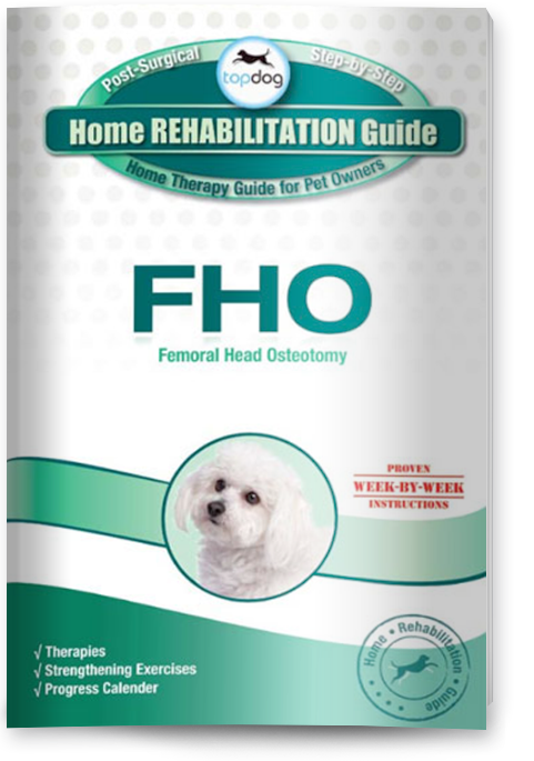 FHO Guide