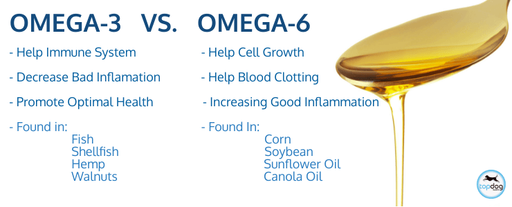 Omega 3 vs. Omega 6