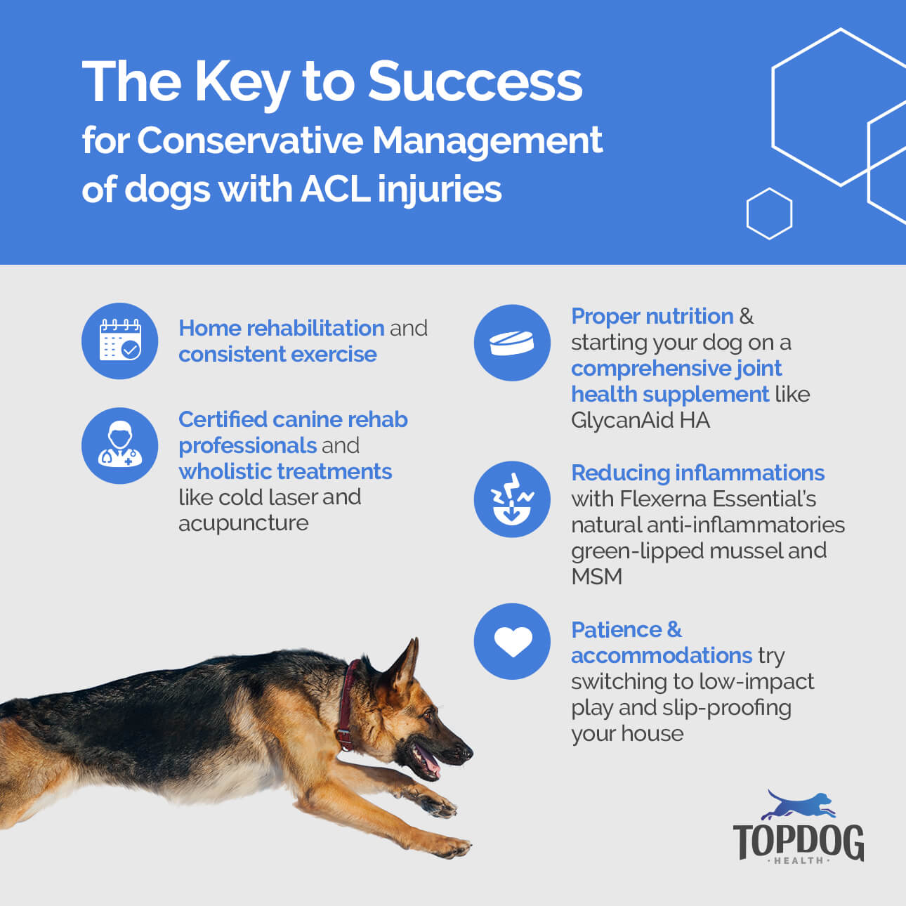 Management of ACL rupture