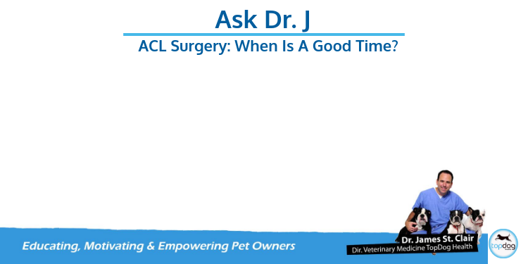 ACL Surgery: When’s a good time?