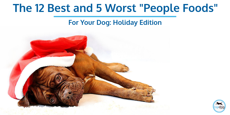 The 12 Best (and 5 Worst) “People Foods” for Your Dog: Holiday Edition