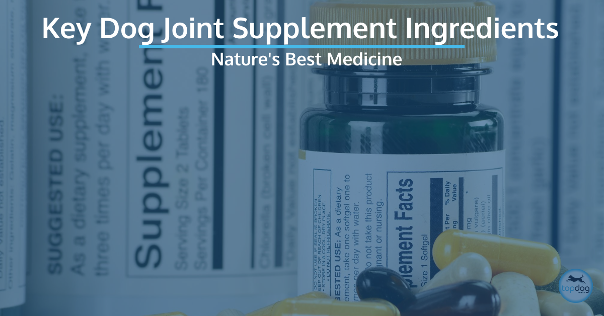 Key Dog Hip and Joint Supplement Ingredients