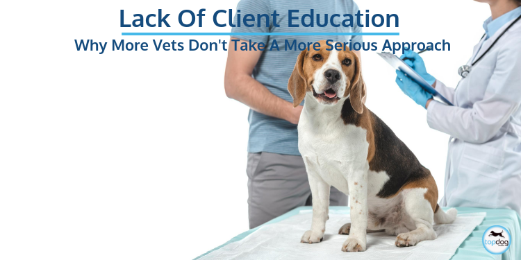 Lack of Client Education: Why More Veterinarians Don’t Take a More Serious Approach to Client Education