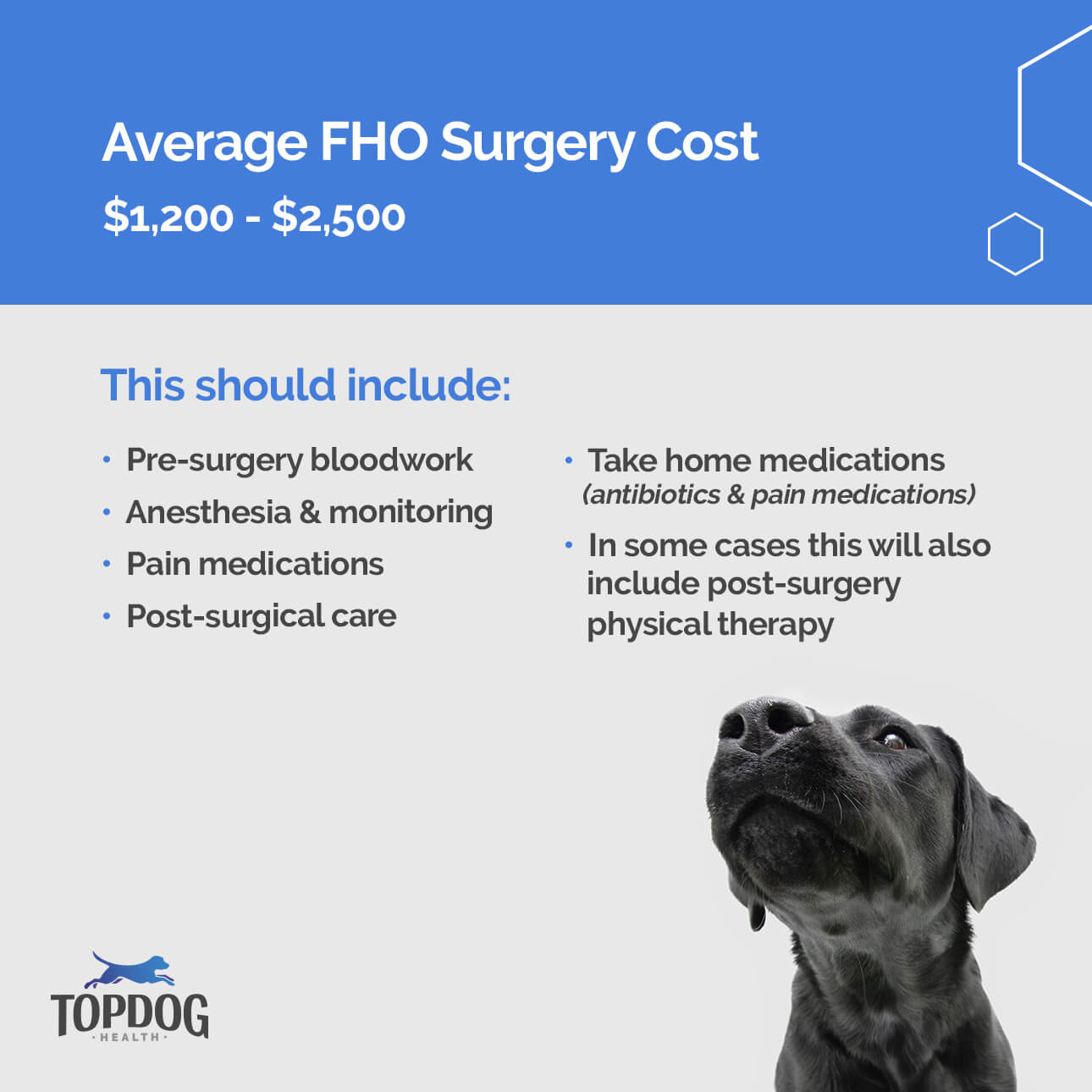 FHO Average Surgery Cost is $1,200-$2,500 - includes pre-surgical bloodwork, anesthesia, antibiotics & pain medications,