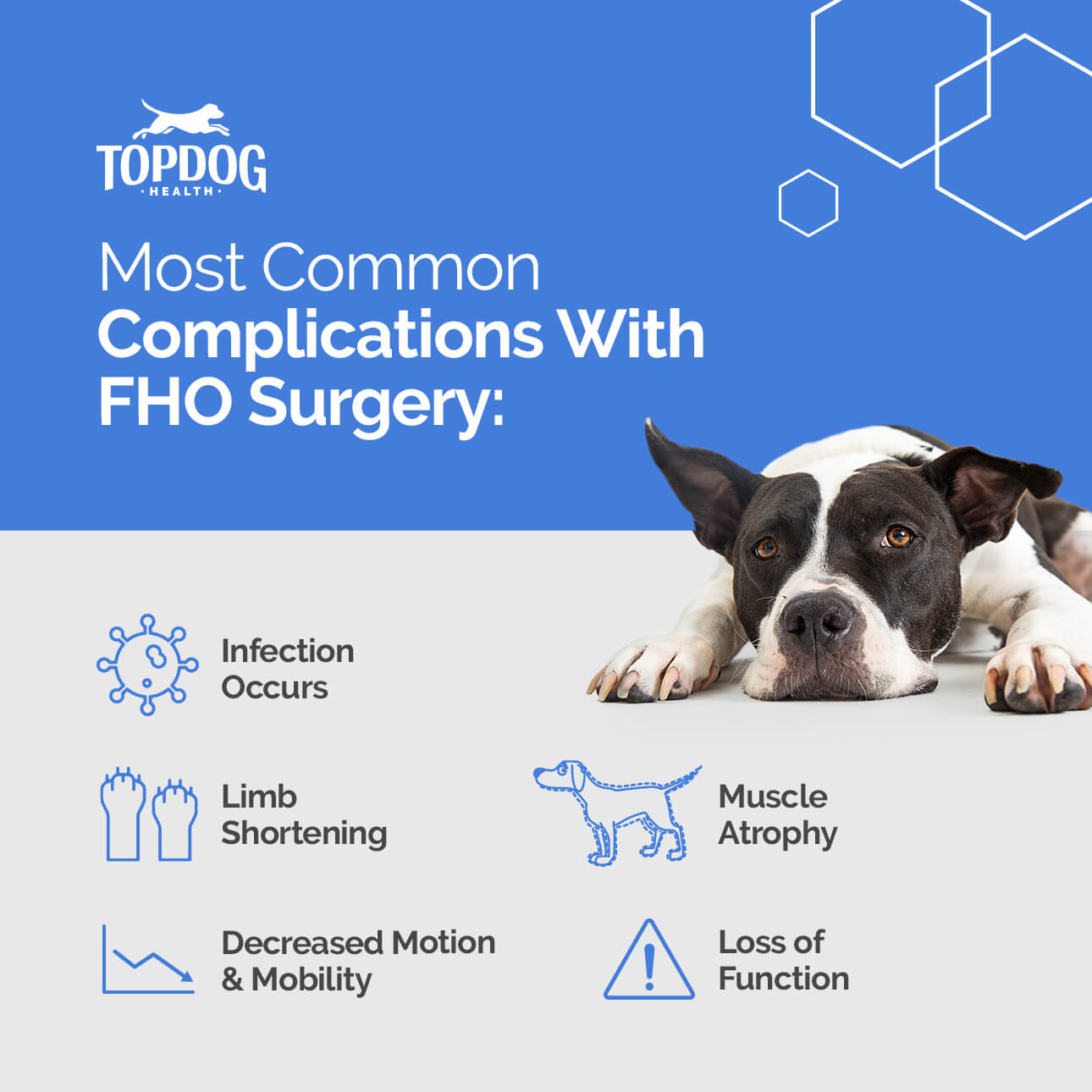 FHO surgery complications: Most common are decreased range of motion and mobility in the leg, muscle atrophy, loss of function, limb shortening and infection.