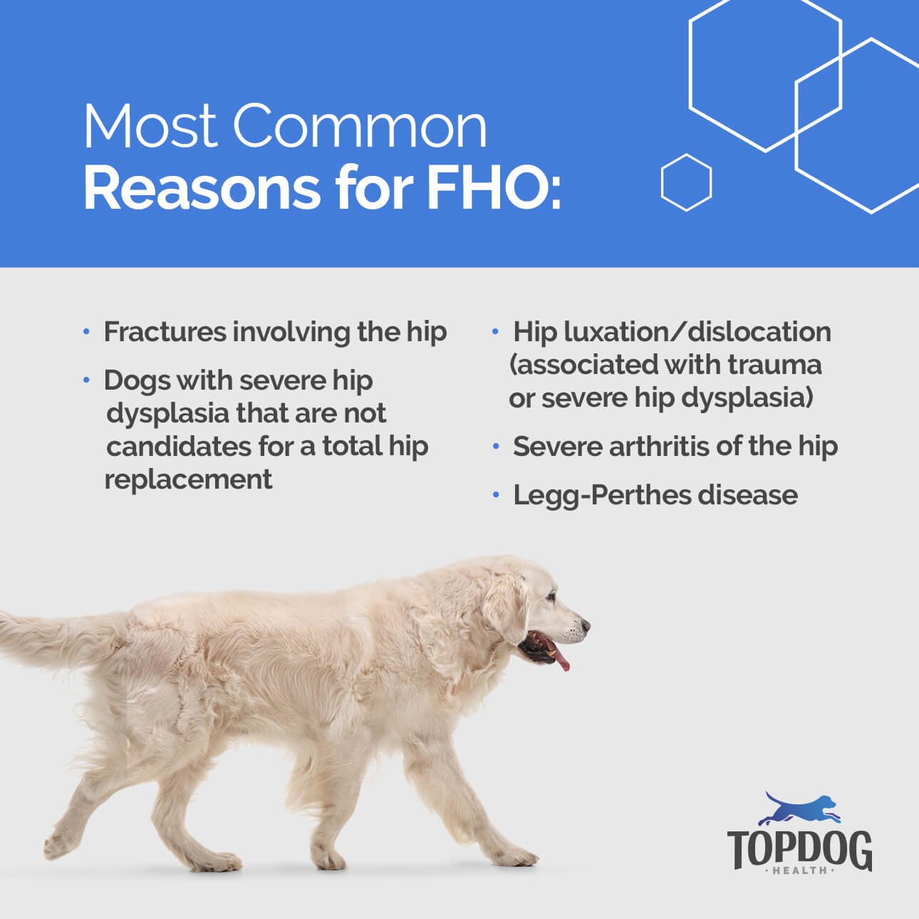 Most common reasons for FHO surgery are fractures, severe hip dysplasia, hip dislocation, severe arthritis and Legg-Perthes disease