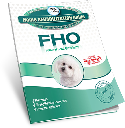 FHO (Femoral Head Osteotomy) Home Rehabilitation Guide by TopDog Health