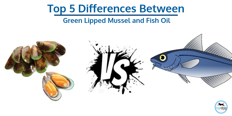 The Top 5 Advantages of the Green Lipped Mussel vs. Fish Oil