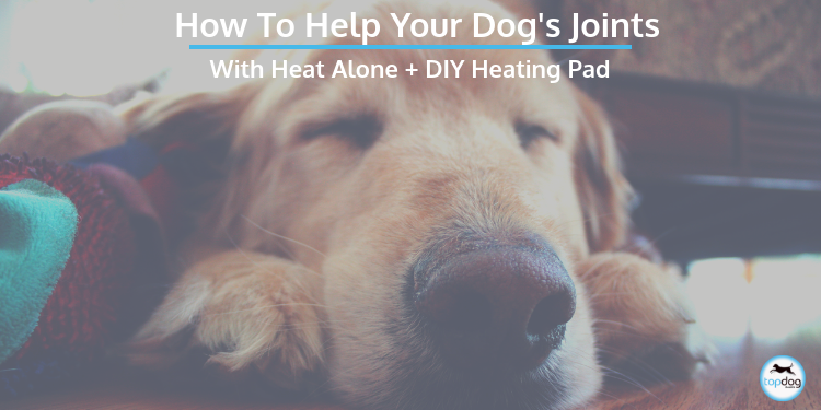How to Help Your Dog’s Joints with Heat Alone + DIY Heating Pad