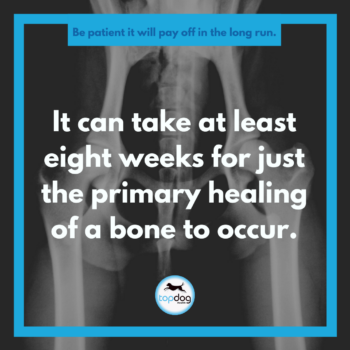 It can take at least eight weeks for just the primary healing of a bone to occur