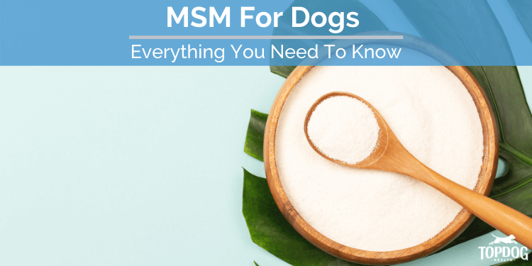 MSM For Dogs