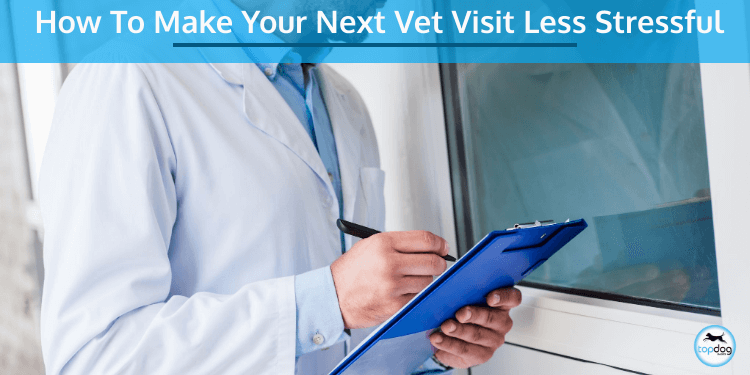 How to Make Your Next Vet Visit Less Stressful