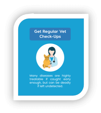 Get Regular Vet Checkups to extend life