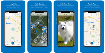 2019 top dog walking apps