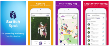 2019 top dog apps
