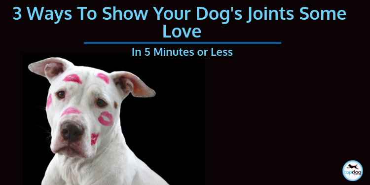 3 Ways to Show Your Dog’s Joints Some Love in 5 Minutes or Less