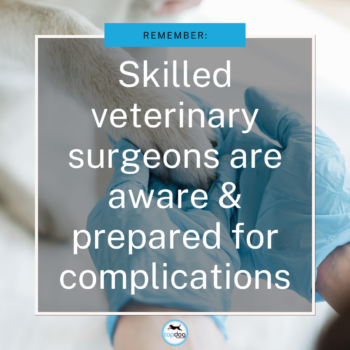 Skilled veterinary surgeons are aware prepared for complications
