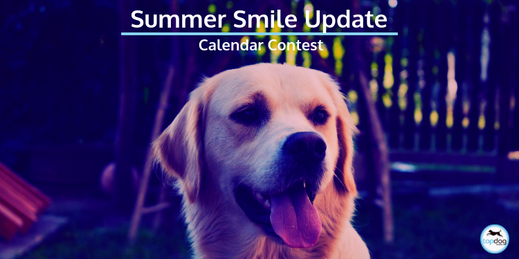 Summer Smile Campaign and Calendar Contest