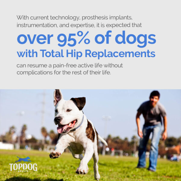 THR 95 percent of dogs recover from THR