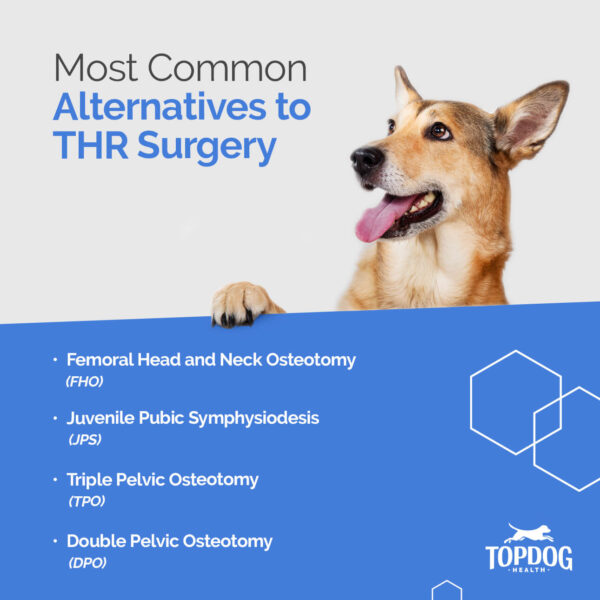 What are the alternatives to total hip replacement in dogs