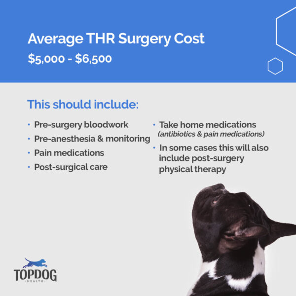 Cost of THR surgery in dogs