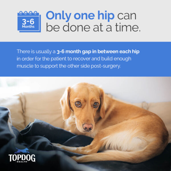 only one hip can be done at a time with a total hip replacement