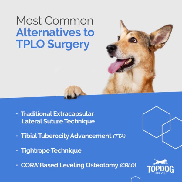 Most common alternatives to TPLO surgery in dogs