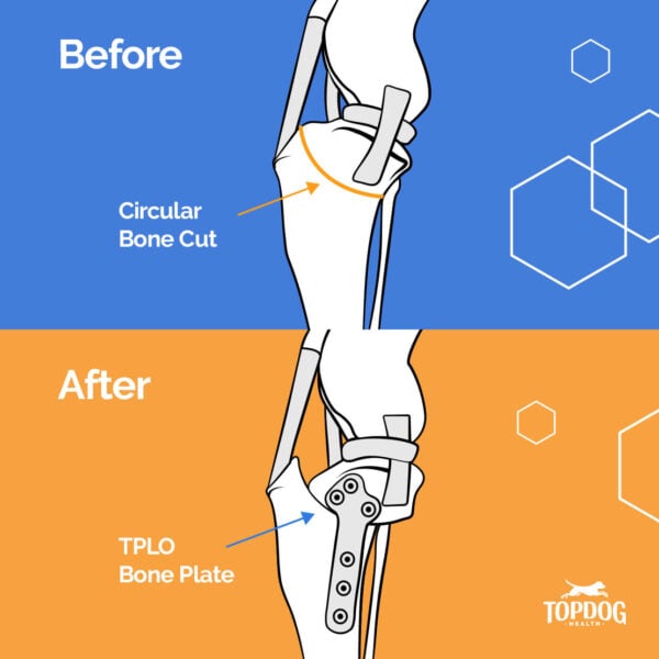 TPLO Before-and-After-Cut