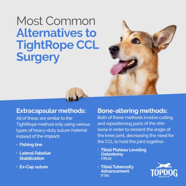 What are the Surgical Alternatives to the TightRope Fixation Surgery?