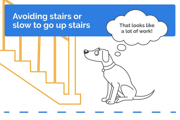 12 signs of pain avoiding stairs