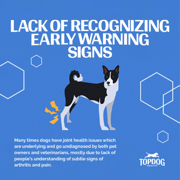 Why so many dog tear acl early warning signs