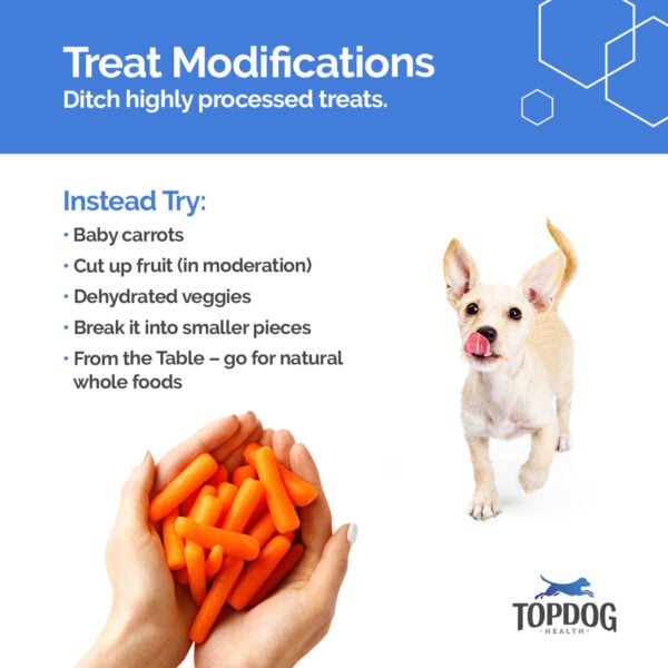 treat modification for weight loss in arthritic dogs