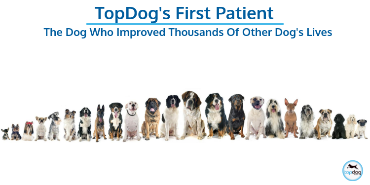 TopDog’s First Patient: The Dog Who Improved Thousands of Other Dog’s Lives