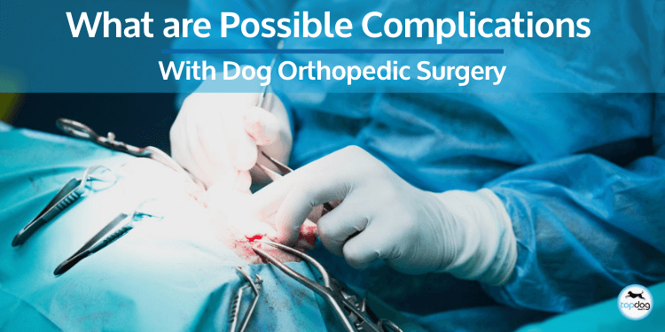 What are Possible Complications with Dog Orthopedic Surgery?