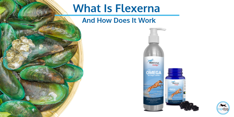 Q: What’s Flexerna and how does it work?