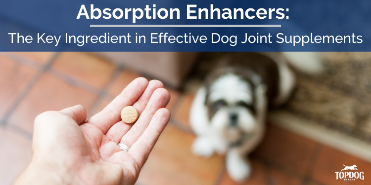 How Absorption Enhancers Make Joint Supplements Work Better