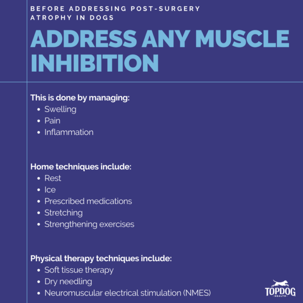 addressing muscle inhibition in dogs