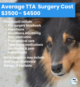 cost of Tibial Tuberosity Advancement (TTA) Surgery for Dogs