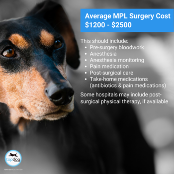 Average MPL Medial Patellar Luxation Surgery Cost