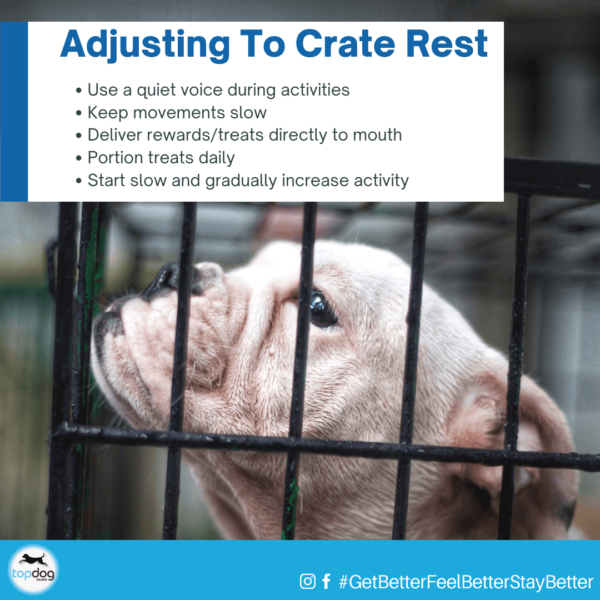 Adjust your activities to crate rest