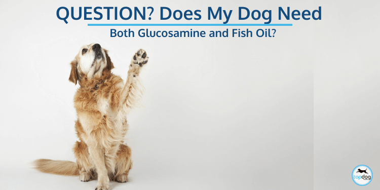 Does My Dog Need Both Glucosamine and Fish Oil Supplements?