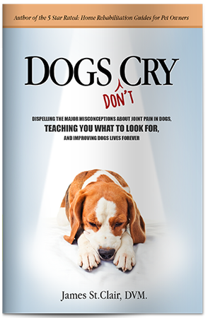 Dogs Don't Cry Booklet