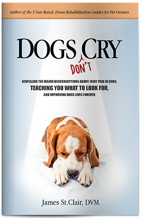 dogs don't cry