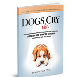 dogs don't cry