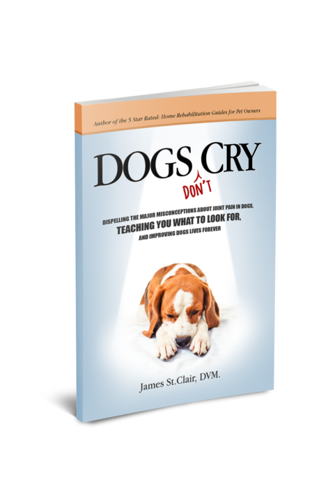 dogs don't cry