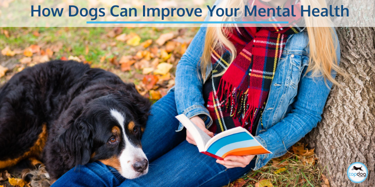 How Dogs Can Improve Your Mental Health