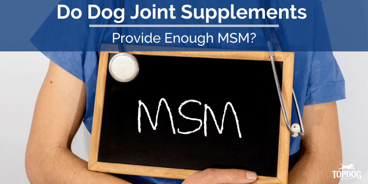 Do Dog Joint Supplements Provide Enough MSM?