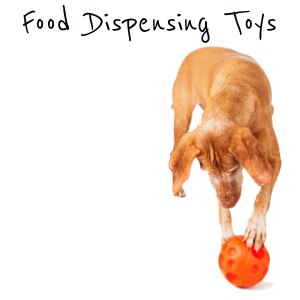 https://topdoghealth.com/wp-content/uploads/food-dispensing-toys.png